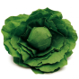 Erzi Lettuce Wooden Play Food on a white background