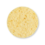 A Slice of Green natural cellulose facial cleansing sponge on a white background