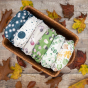 Baba + Boo One-Size Nappy - Leaves