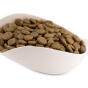 Close up of Beco Pets natural sustainable bamboo pet food scoop, filled with biscuits, on a white background.