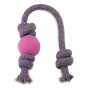 Beco Pets natural rubber ball on rope dog toy on a white background.
