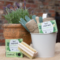 Bio-D natural Vegan aloe vera and lime soap bar surrounded by garden planting items and a nail brush