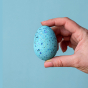 A speckled Blue Wooden Bumbu Brontosaurus Egg being held in a persons hand, on a blue background