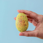 A speckled Yellow Wooden Bumbu Stegosaurus Egg being held in a persons hand, on a blue background