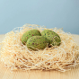 Bumbu Wooden T-Rex Eggs Set. Three speckled green dinosaur eggs sat in a nest. They are displayed on a wooden table and a blue background