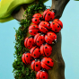 A group of Bumbu red ladybirds with painted red spots, all huddled together on a wooden tree which is draped with moss, imitating a natural nature scene