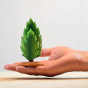 Close up of the Bumbu plastic-free small wooden thuja tree toy on the palm of a hand