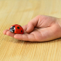 Bumbu Wooden Ladybug, painted red with black spots and sat on a persons hand, above a light brown wooden table