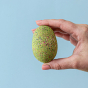 A speckled Green Wooden Bumbu T-Rex Eggs being held in a personas hand, on a blue background