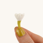 A small and delicate Bumbu White flower being held between a persons finger tips on a cream background