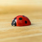 Bumbu Wooden Ladybug, painted red with black spots and stood on a light brown wooden table