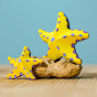 Bumbu Yellow Starfish Set, balanced on a sea stone on a blue background.