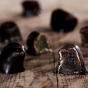 Cocoa Loco Dark Chocolate Ginger 100g