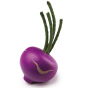Erzi Purple Turnip Wooden Play Food on a white background