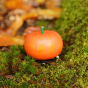 Erzi Pumpkin Wooden Play Food surrounded by moss and fallen leaves