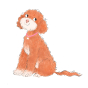 Illustration of the Finding Floss childrens book cockapoo dog on a white background