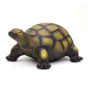 Green Rubber Toys eco-friendly natural rubber tortoise toy on a white background