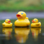 Green Rubber Toys Duck Family Bath Toy Set pictured on a puddle of water outdoors