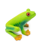 Side view of the Green Rubber Toys natural rubber green tree frog figure sat on a white background