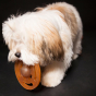 Hevea Galaxy Puppy Fetch Toy