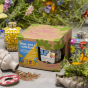 Kabloom Birds, Bees & Butterflies Gift Box