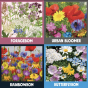 4 pictures of the grown flowers available in the Kabloom Great British Bloomers gift box; foragebom, rainbowbom, butterflybom and urban bloomer.
