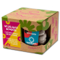 Kabloom Wildflower Wonders Gift Box