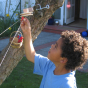 Picture of a boy playing with the Kraul Basket Cable Car.