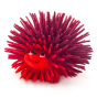 Lanco natural rubber Hunter the Hedgehog toy on a white background