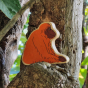 Close up of the Lanka Kade orange orangutang toy figure sat on a tree branch