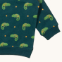 LGR Little Lizard Marl Raglan Sweatshirt
