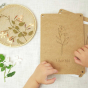 Lily and Mel Pressed Flower Art kit 