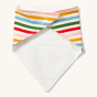 back view of the Little Green Radicals Adaptive Adjustable Large Dribble Bib in the rainbow stripe print
