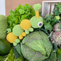 Myum handmade organic cotton cterpillar soft toy climbing on a green cabbage