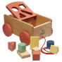 Nic Carriage With Forms Shape Sorter