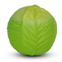 Oli & Carol 100% Natural Rubber Baby Sensory Ball - Green Cabbage on a white background