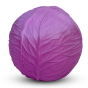 Oli & Carol 100% Natural Rubber Baby Sensory Ball - Purple Cabbage on a white background