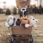 Collection of wild cozy dinkum dolls in a pull along wagon 