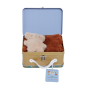 olli ella teddy pretend play pack for dinkum doll in the open tin on the white background
