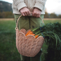A child in a cream woollen jumper holding  the Olli Ella Rattan Tulip Carry Basket - Seashell Pink filled with fresh carrots
