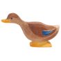 Ostheimer Long Neck Duck