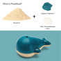 Infographic showing how the PlanToys Wooden Whale Whistle Toy is made from PlanWood