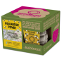 Kabloom Pollinator Power 4 Pack Gift Box