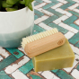 Close up of A Slice of Green plastic-free wooden nail brush on top of a green soap bar, next to a potted plant
