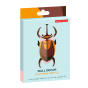 Packaging of the Studio roof elephant beetle craft model on a white background