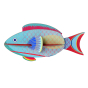Studio Roof Sea Creatures - Parrotfish