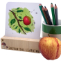 The Phive Enchanting Learning Card Stand with a card inside pictured next to coloured pencils and an apple 