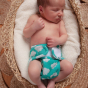 newborn baby wearing totsbots nappy in blue