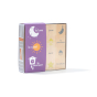 Box of Uncle Goose children's wooden French learning blocks on a white background