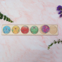 The Waldorf family eco-friendly wooden maths processes circle blocks in their wooden holder on a pink marble background